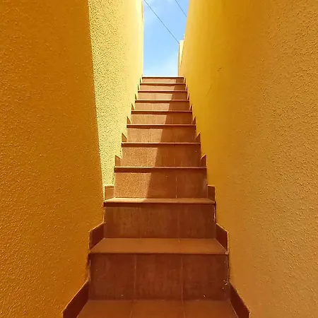 Palmitos 3000 Peñíscola